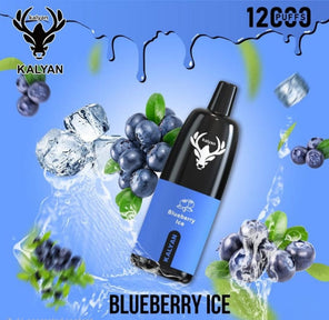 Kalyan 12000 Puffs Blueberry Ice disposable vape at Vexora Vape Shop Dubai.
