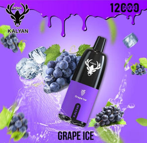 Kalyan 12000 Puffs Grape Ice disposable vape at Vexora Vape Shop Dubai.