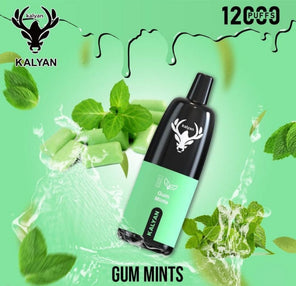 Kalyan 12000 Puffs Gum Mints disposable vape at Vexora Vape Shop Dubai.