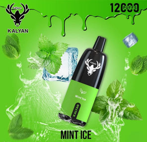 Kalyan 12000 Puffs Mint Ice disposable vape at Vexora Vape Shop Dubai.