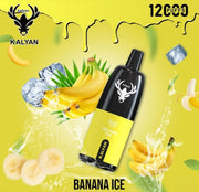 Kalyan 12000 Puffs Banana Ice disposable vape at Vexora Vape Shop Dubai.