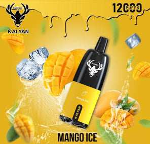Kalyan 12000 Puffs Mango Ice disposable vape at Vexora Vape Shop Dubai.