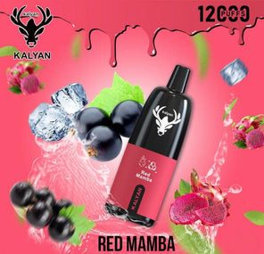 Kalyan 12000 Puffs Red Mamba disposable vape at Vexora Vape Shop Dubai.
